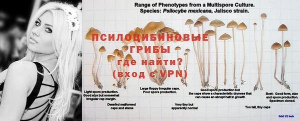 круглые Ельня