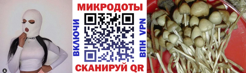 МЕГА маркетплейс  Кирс  Галлюциногенные грибы Magic Shrooms 
